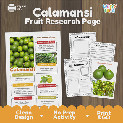 Calamansi Science Activity | Fruit Research Project | Citrus Nature Study Print