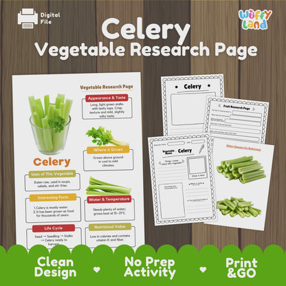 Celery Research Project | Vegetable Science Activity | Plant Study | Food Nutrit