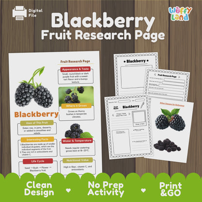 Blackberry Science Activity | Fruit Research Project | Biology | Nature Study