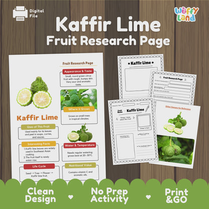 Kaffir Lime Makrut Fruit Research Project Science Worksheet Fact Sheet Activity