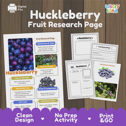 Huckleberry Fruit Research Activity Worksheet Science Wild Berries Nature Study