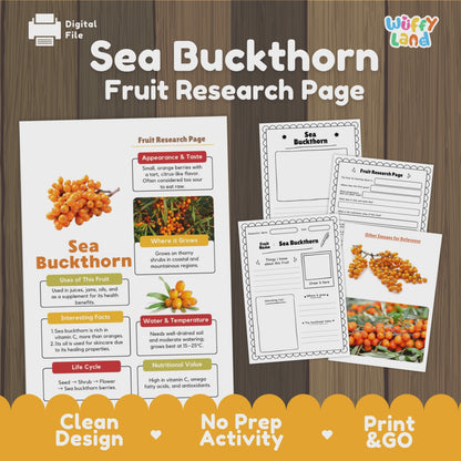 Sea Buckthorn Fruit Research Activity Worksheet Science Superfood Healthy Eating