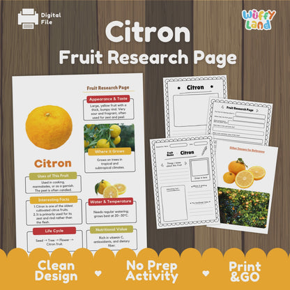 Citron Fruit Research Page Worksheet Activity | Science Healthy Eating Citrus