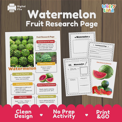 Watermelon Fruit Research Activity Worksheet Science Summer Life Cycle