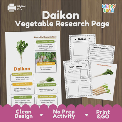 Daikon Radish Research Activity Worksheet Science Vegetable Asian Food RootPlant
