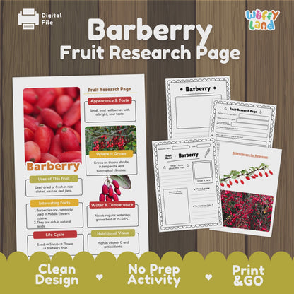 Barberry Fruit Research Project | Exotic Fruits | Middle Eastern Food Science