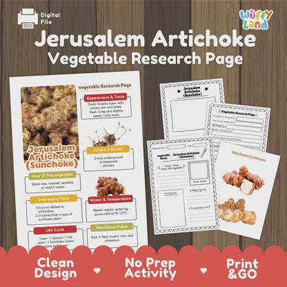 Jerusalem Artichoke Sunchoke Vegetable Research Activity Worksheet Science