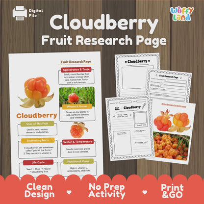 Cloudberry Fruit Research Page Worksheet Activity Science Arctic Healthy Eating