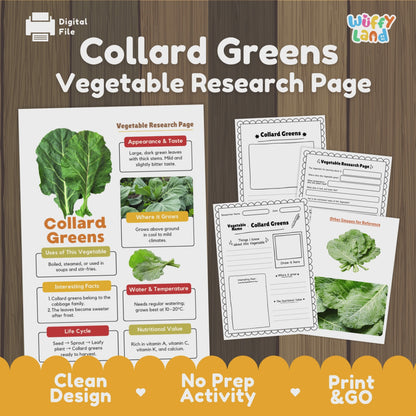 Collard Greens Research Activity Worksheet Science Vegetable Healthy Eating