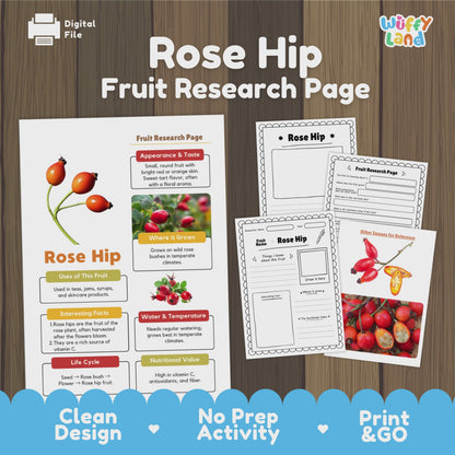 Rose Hip Fruit Research Activity Worksheet Science Plant Life Cycle Edible Plant