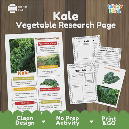 Kale Vegetable Research ActivityWorksheet Science Superfood Healthy Eating Plant