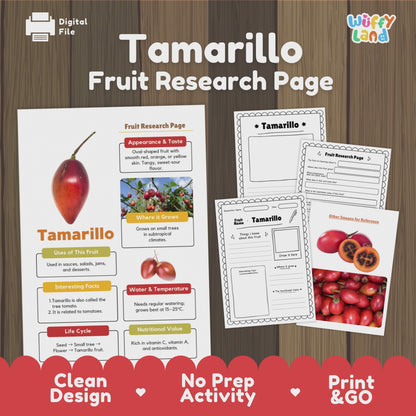 Tamarillo Fruit Research Activity Worksheet Science Exotic Fruit Tree Tomato