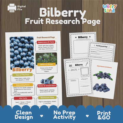Bilberry Science Activity | Fruit Research Project | Biology | Nature Study