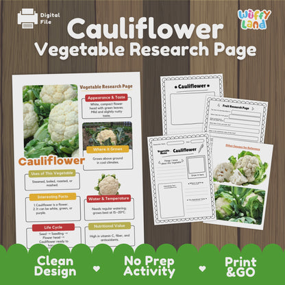 Cauliflower Research Project | Vegetable Science Activity | Plant Study | Food