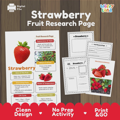 Strawberry Fruit Research Activity Worksheet Science Healthy Eating Life Cycle