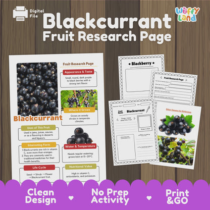 Blackcurrant Science Activity | Fruit Research Project | Biology | Nature Study