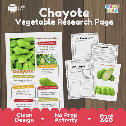 Chayote Research Project | Vegetable Pear Scieacnce Activity | Plant Study | Food
