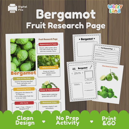 Bergamot Fruit Research Project | Citrus Fruit Science | Senses & Smell Activity