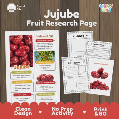 Jujube Fruit Research Project Science Worksheet Fact Sheet Activity