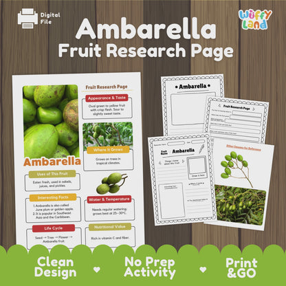 Ambarella Fruit Research Project | June Plum Science | Tropical Food Study