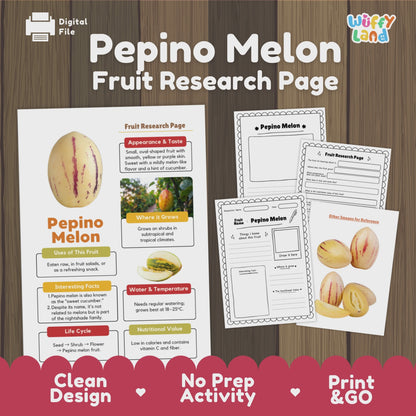 Pepino Melon Fruit Research Activity Worksheet Science Exotic Fruit Nightshade