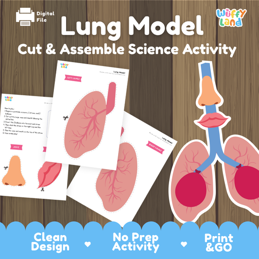 Printable lung model science activity featuring cut-and-assemble lung parts, airways, and breathing system illustrations for kids.